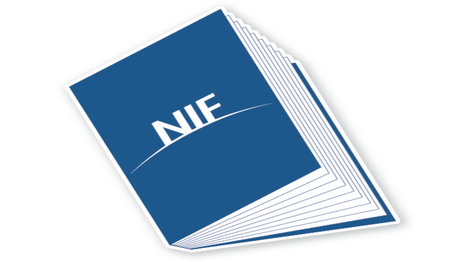 Taller para la preparación de los estados financieros básicos con base en las NIF