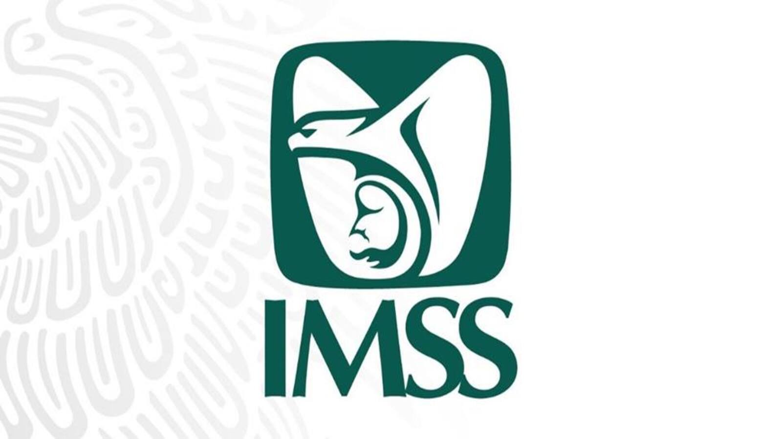 Prepárate para la visita del IMSS